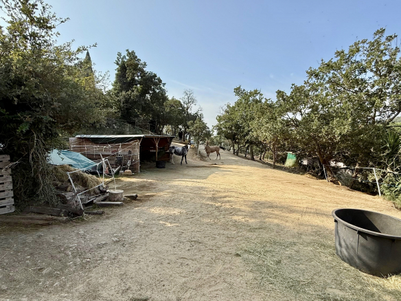 Luxury Property for sale in Grimaud Côte d'Azur - Real estate