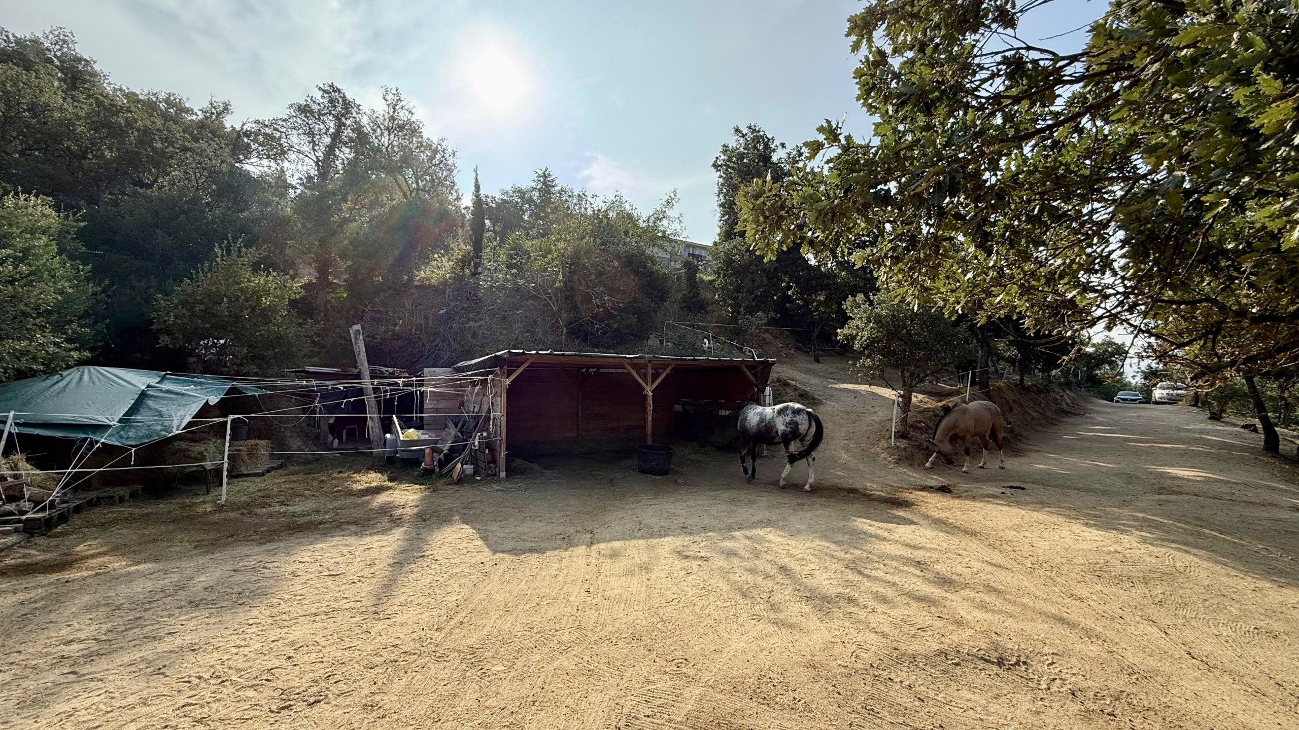 Luxury Property for sale in Grimaud Côte d'Azur - Real estate