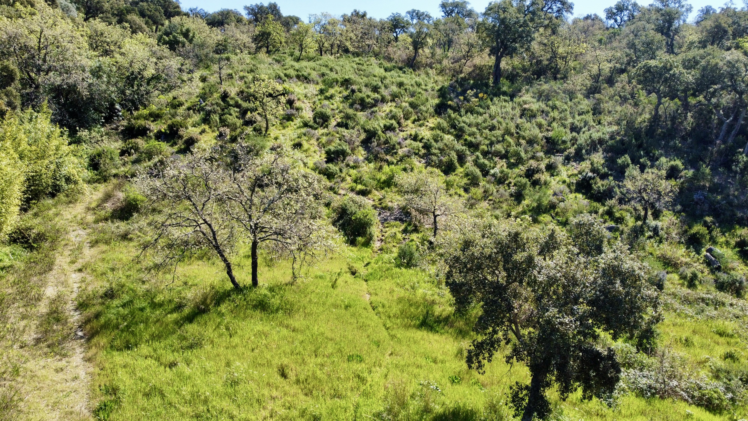 Luxury Property for sale in Grimaud Côte d'Azur - Real estate - Land - Plot