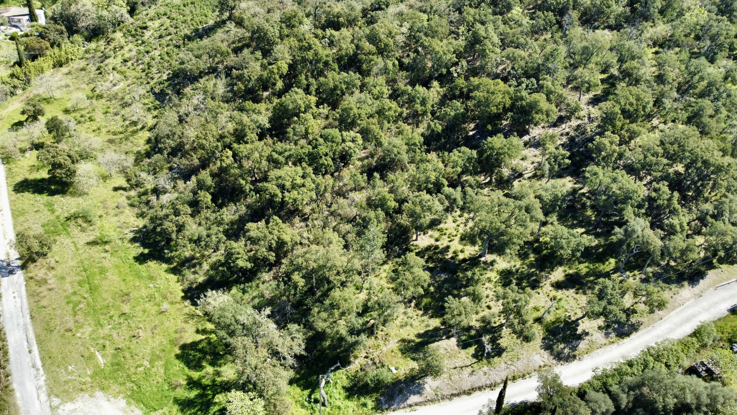 Luxury Property for sale in Grimaud Côte d'Azur - Real estate - Land - Plot