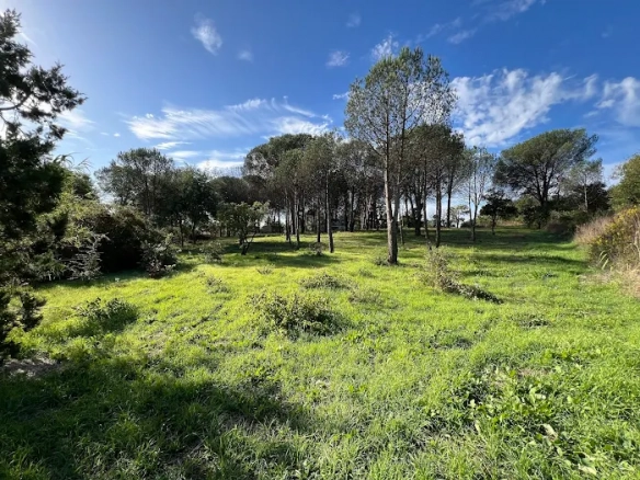 Luxury Property for sale in Grimaud Côte d'Azur - Real estate - Plot - Land